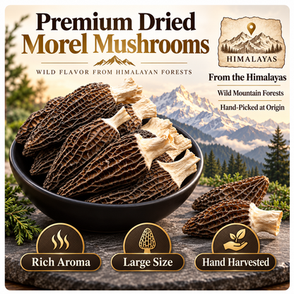 Himalayan Wild Morel Mushrooms — Hand-Picked, Rich & Aromatic-Hugh